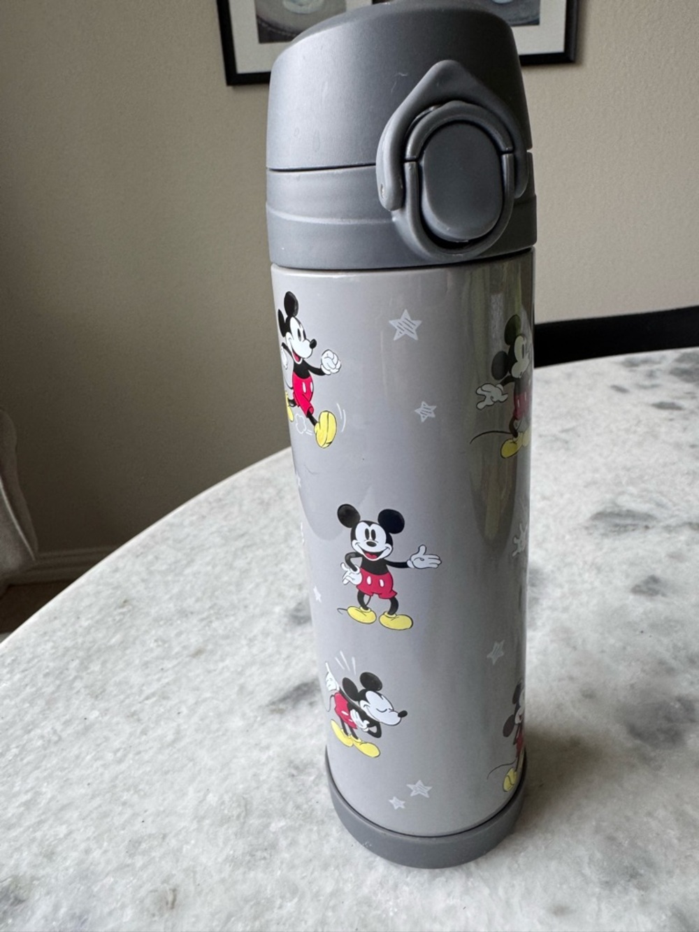 Pottery Barn Mickey Mouse Gray Stainless Travel Bottle